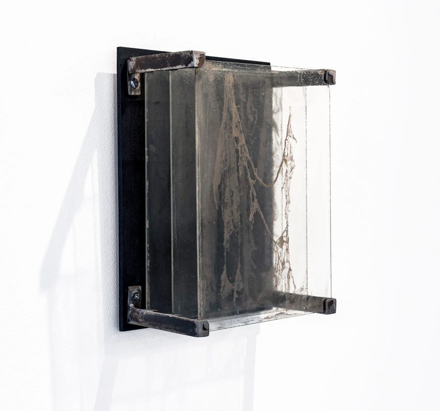 Wasted: wet collodian plate , steel, board. 26 x 20.5 cms
cr: Tim Pierce 